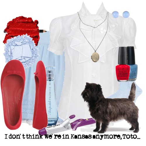 Wizard of Oz Costume